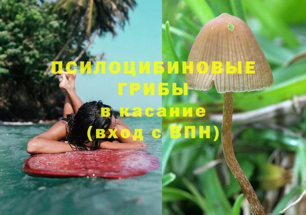 мет Аркадак